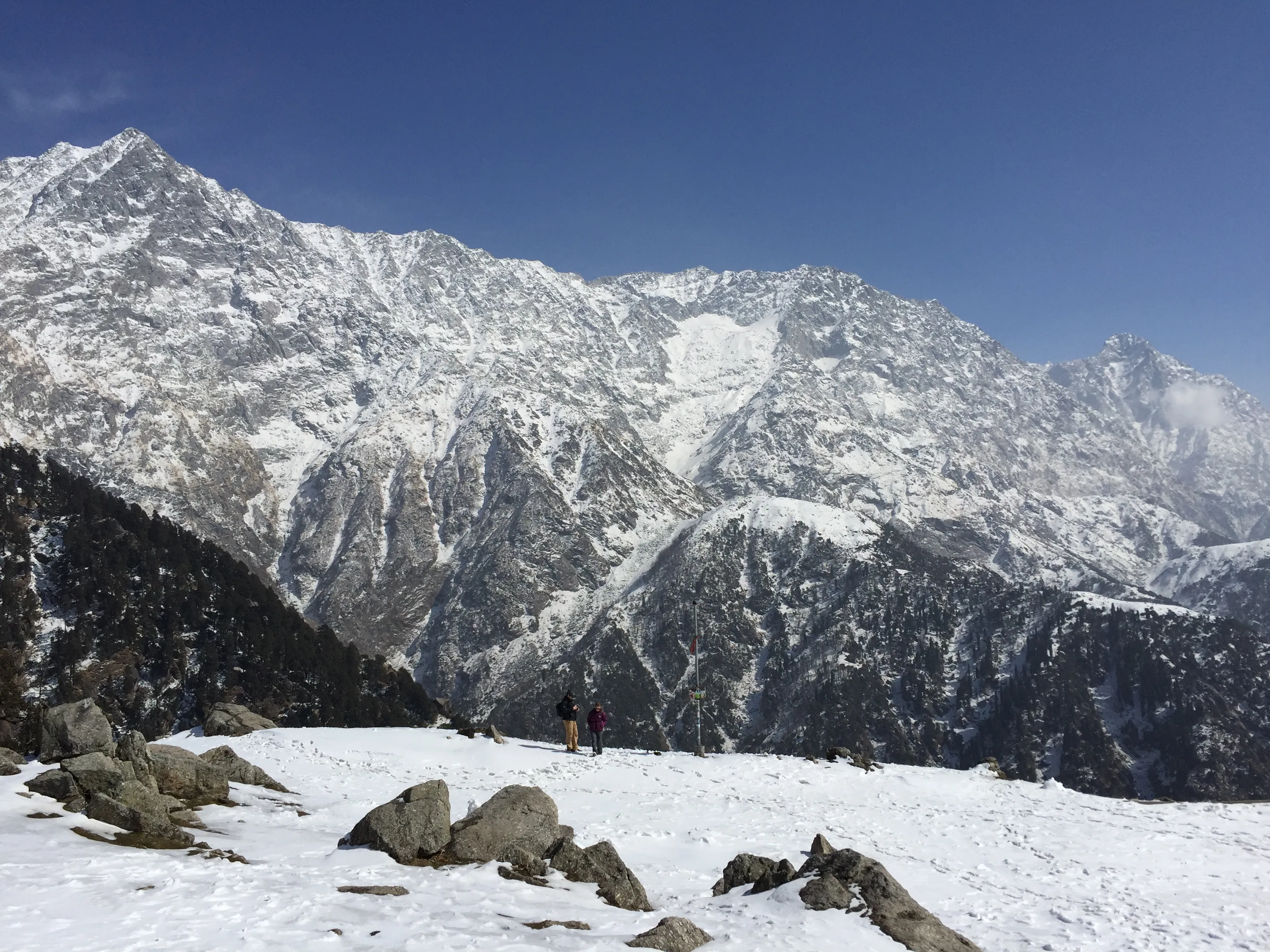 Paragliding In Bir Billing With Camping — Himachal Pradesh