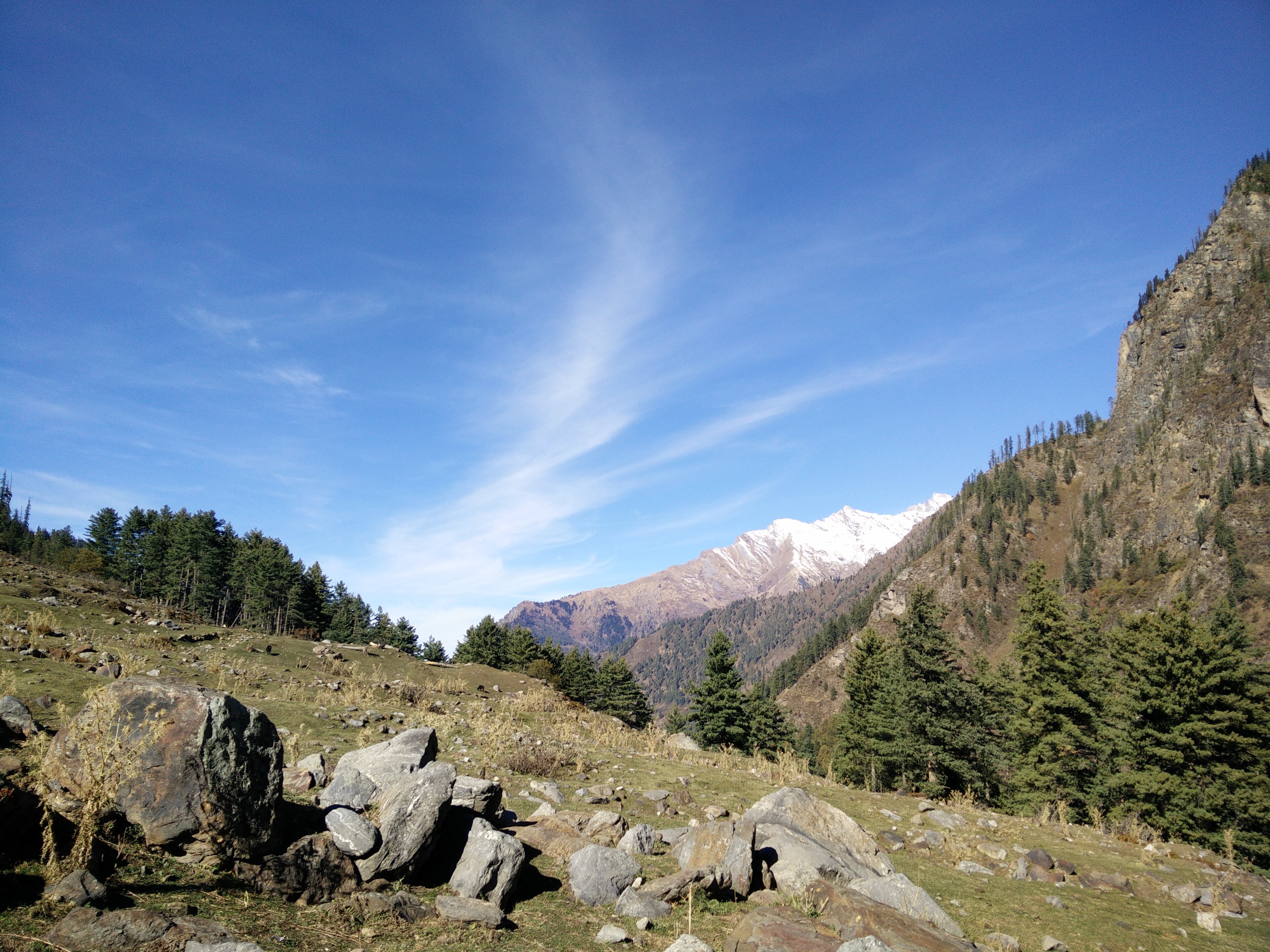 Tosh Kutla Trek — Parvati Valley, Himachal Pradesh