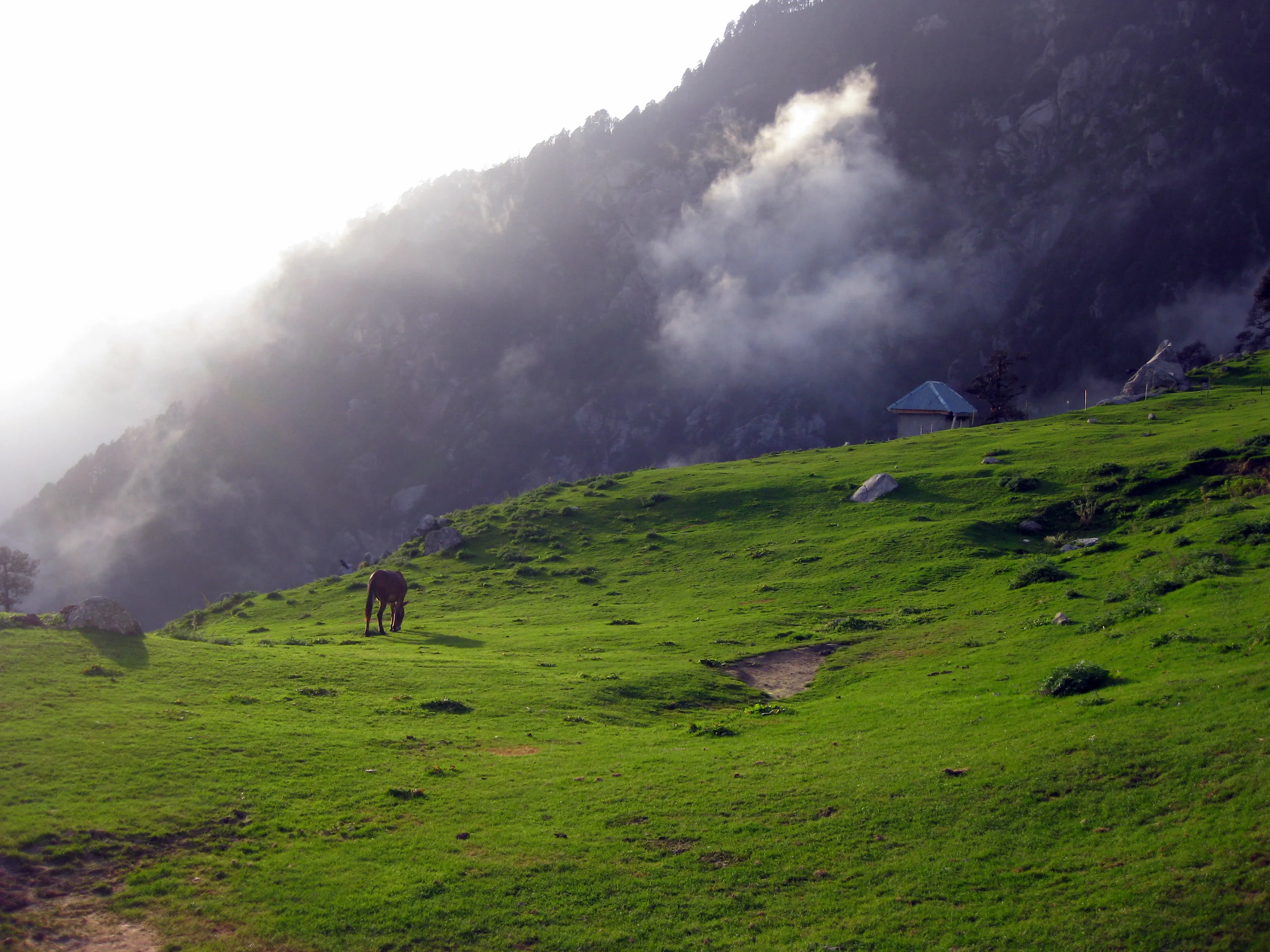 Moon Peak Expedition, McleodGanj — Dhauladhar Range, Himachal Pradesh